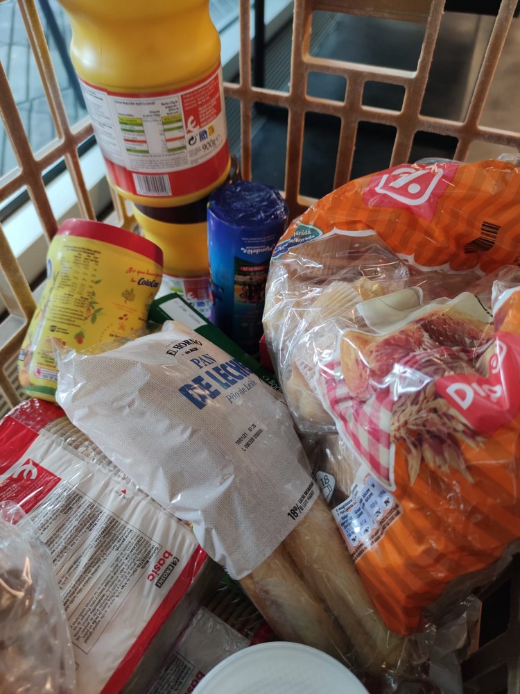 RECOGIDA DE ALIMENTOS